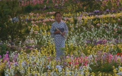 comentario película: «LOS SUEÑOS DE AKIRA KUROSAWA»